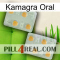 Kamagra Oral 25